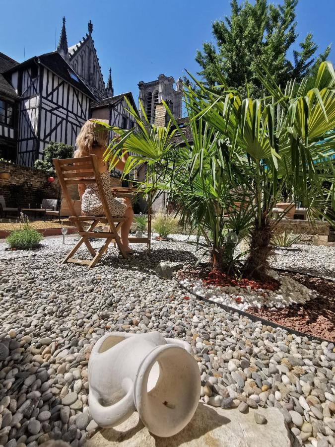 Le Papillon De La Cathedrale - Calme - Jardin - Wifi Apartment Troyes Luaran gambar
