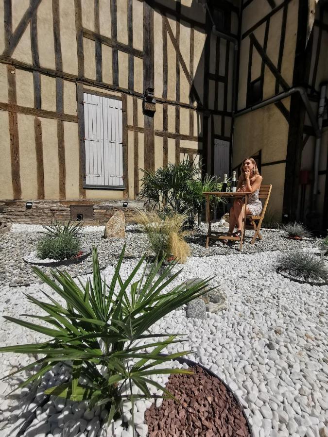 Le Papillon De La Cathedrale - Calme - Jardin - Wifi Apartment Troyes Luaran gambar